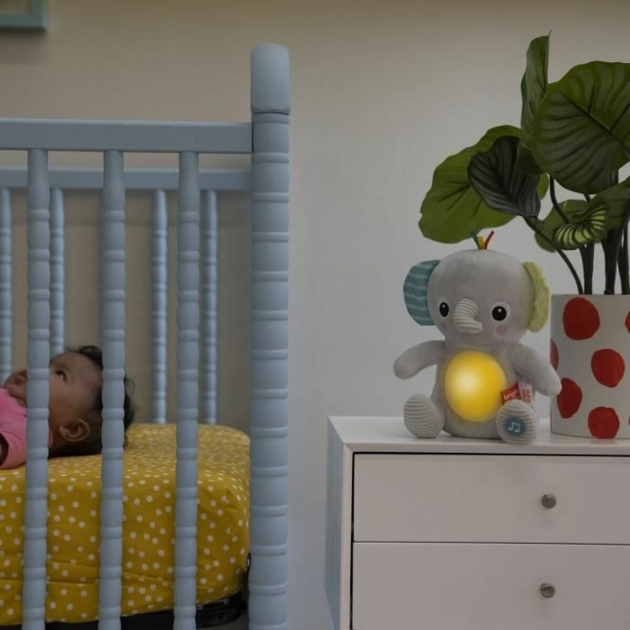 Minkštas dramblys Žaislas Bright Starts (FR)