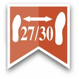 Paspirtukas Stamp Frozen II 27 30
