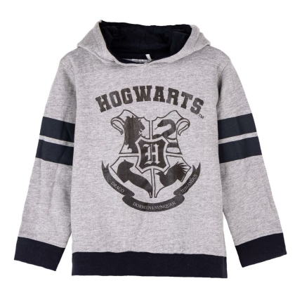 Uniseksinis džemperis su gobtuvu Harry Potter Pilka
