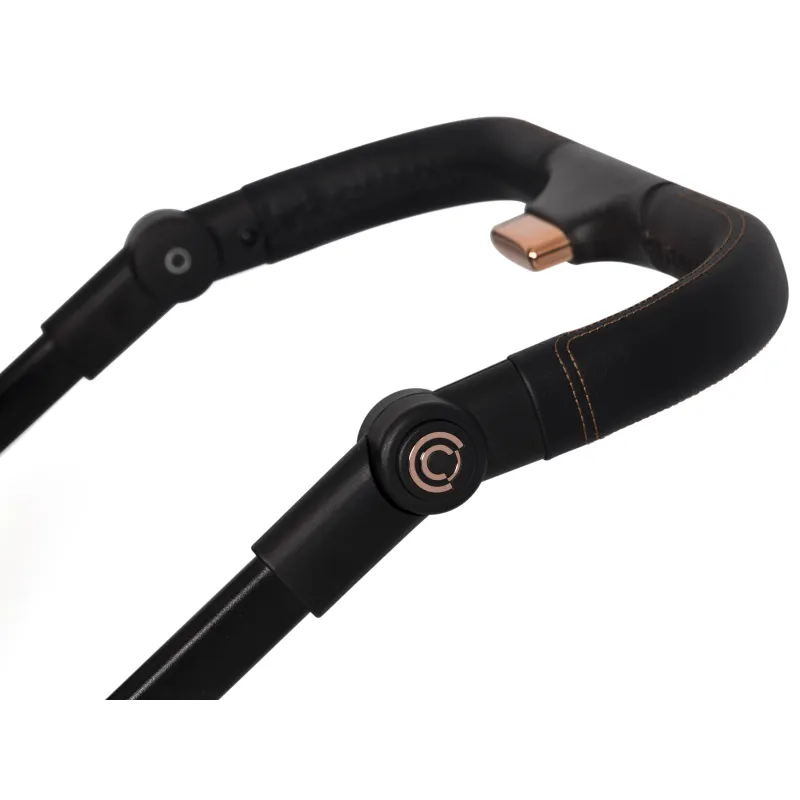 Universalus 2in1 vežimėlis Cavoe Axo Style, La Rose Universalus 2in1 vežimėlis Cavoe Axo Style, La Rose