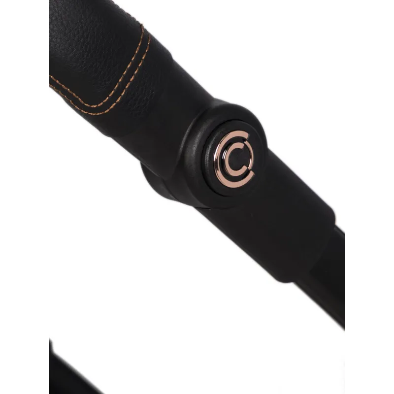 Universalus 2in1 vežimėlis Cavoe Axo Style, La Rose Universalus 2in1 vežimėlis Cavoe Axo Style, La Rose